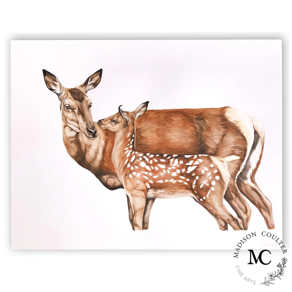 Hind & Fawn Print by Madison Coulter A4